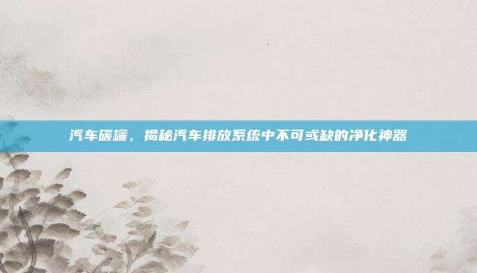 汽车碳罐,揭秘汽车排放系统中不可或缺的净化神器
