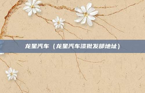 龙星汽车（龙星汽车漆批发部地址）