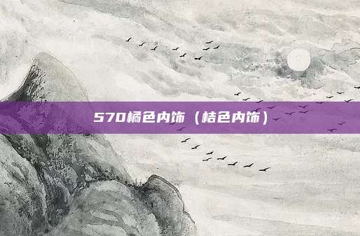 570橘色内饰（桔色内饰）