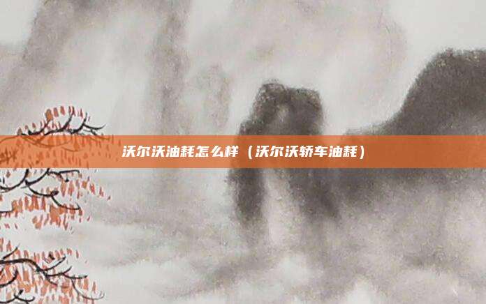 沃尔沃油耗怎么样(沃尔沃轿车油耗)