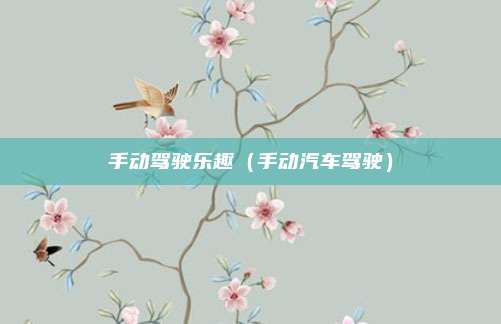 手动驾驶乐趣(手动汽车驾驶)