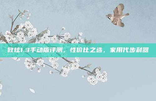 致炫1.3手动版评测,性价比之选,家用代步利器