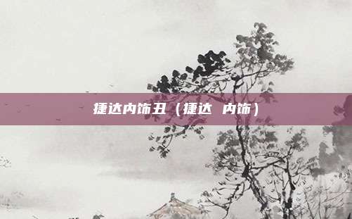 捷达内饰丑(捷达 内饰)
