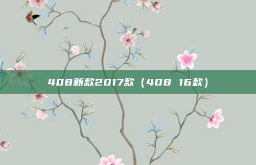 408新款2017款(408 16款)