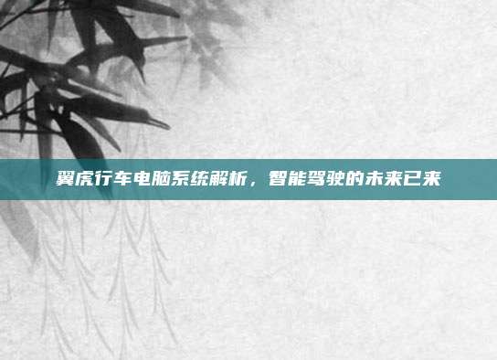翼虎行车电脑系统解析,智能驾驶的未来已来