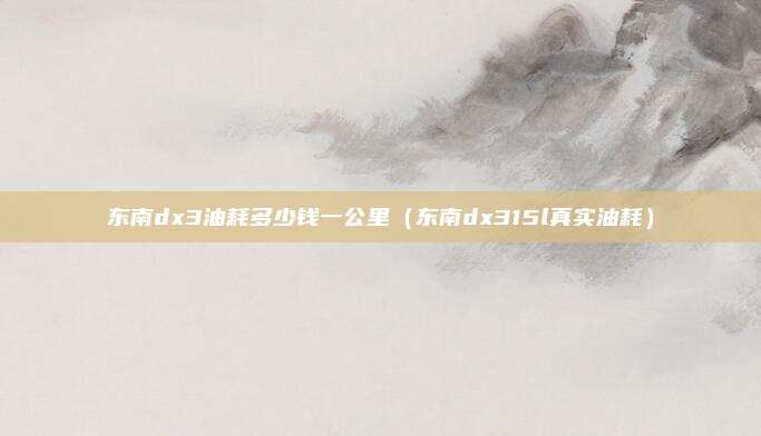 东南dx3油耗多少钱一公里（东南dx315l真实油耗）