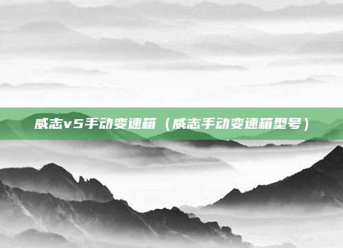 威志v5手动变速箱(威志手动变速箱型号)