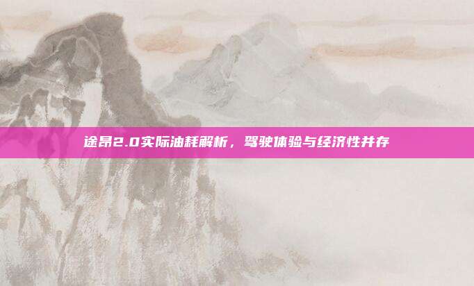 途昂2.0实际油耗解析,驾驶体验与经济性并存