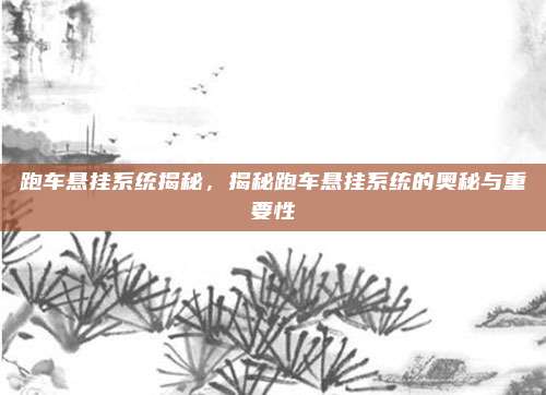 跑车悬挂系统揭秘,揭秘跑车悬挂系统的奥秘与重要性