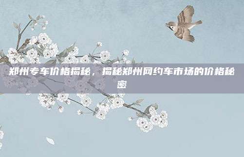 郑州专车价格揭秘,揭秘郑州网约车市场的价格秘密