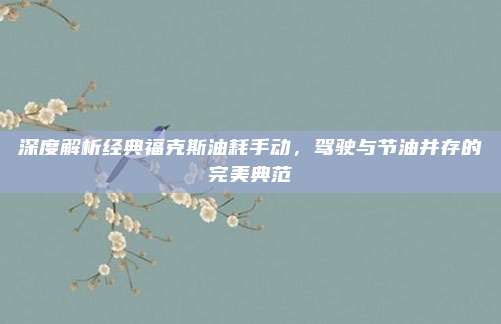 深度解析经典福克斯油耗手动,驾驶与节油并存的完美典范