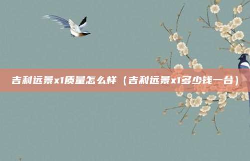 吉利远景x1质量怎么样（吉利远景x1多少钱一台）
