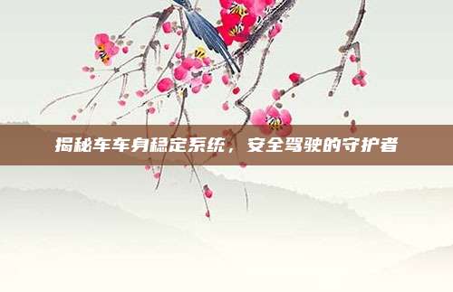 揭秘车车身稳定系统,安全驾驶的守护者