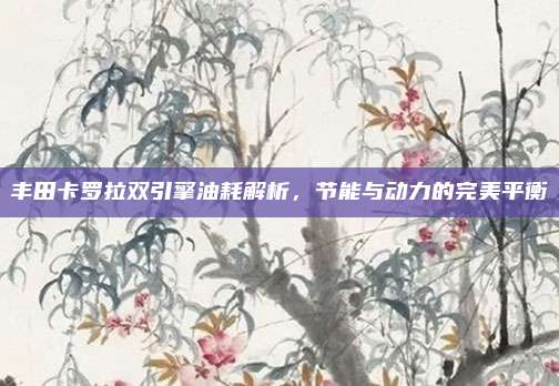 丰田卡罗拉双引擎油耗解析,节能与动力的完美平衡