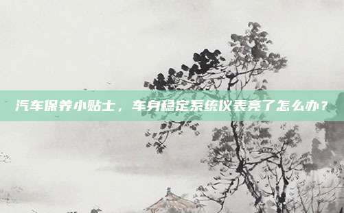 汽车保养小贴士,车身稳定系统仪表亮了怎么办?