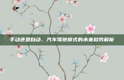 手动还是自动,汽车驾驶模式的未来趋势解析