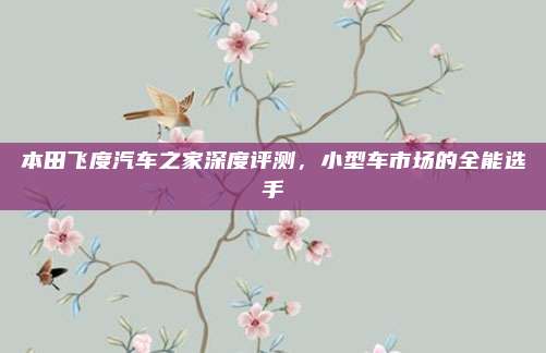 本田飞度汽车之家深度评测,小型车市场的全能选手