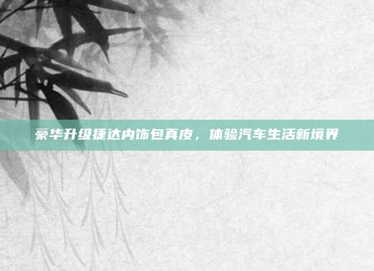 豪华升级捷达内饰包真皮,体验汽车生活新境界