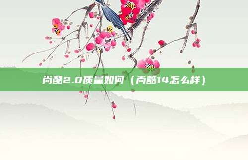 尚酷2.0质量如何(尚酷14怎么样)