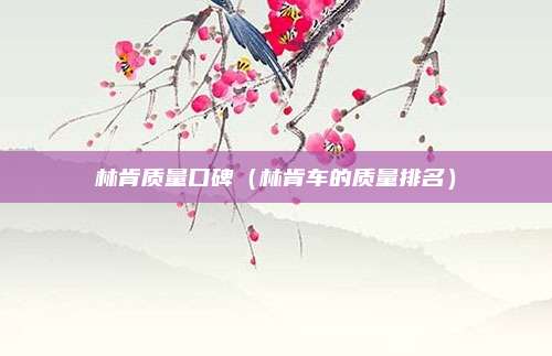 林肯质量口碑（林肯车的质量排名）