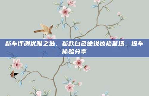 新车评测优雅之选,新款白色途锐惊艳登场,提车体验分享