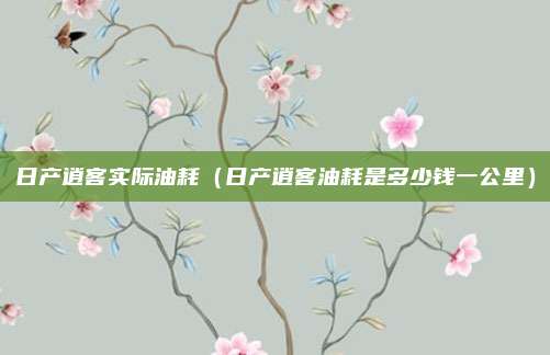 日产逍客实际油耗(日产逍客油耗是多少钱一公里)