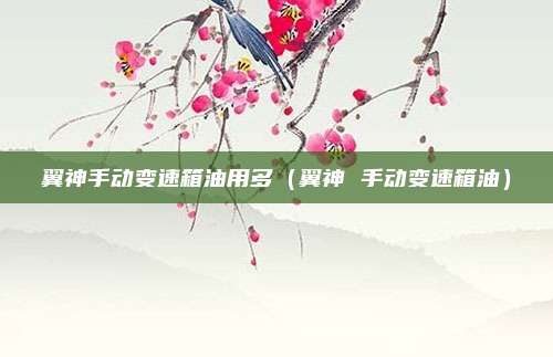 翼神手动变速箱油用多（翼神 手动变速箱油）