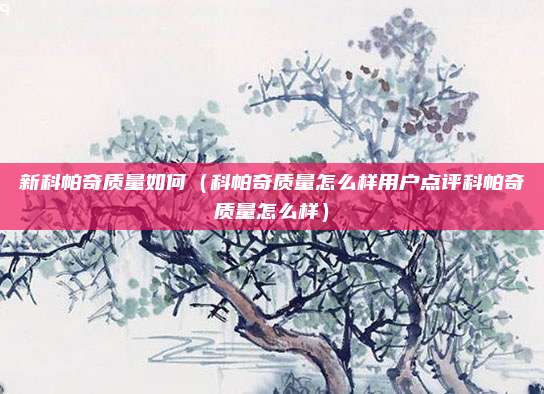新科帕奇质量如何（科帕奇质量怎么样用户点评科帕奇质量怎么样）