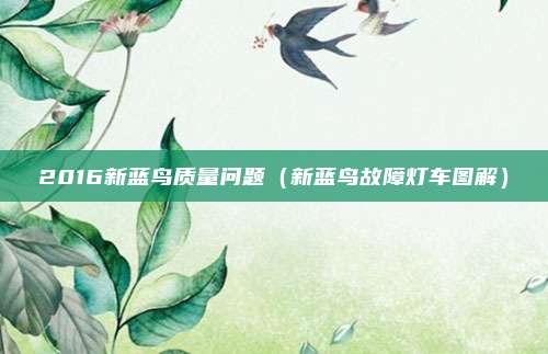 2016新蓝鸟质量问题(新蓝鸟故障灯车图解)