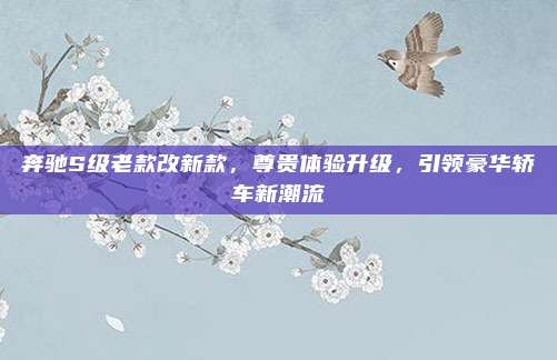 奔驰S级老款改新款，尊贵体验升级，引领豪华轿车新潮流