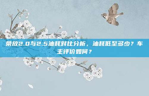 荣放2.0与2.5油耗对比分析，油耗低至多少？车主评价如何？