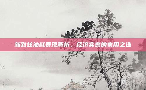 新致炫油耗表现解析,经济实惠的家用之选