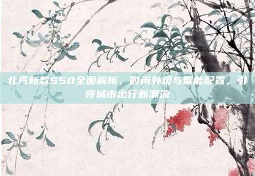 北汽新款S50全面解析,时尚外观与智能配置,引领城市出行新潮流