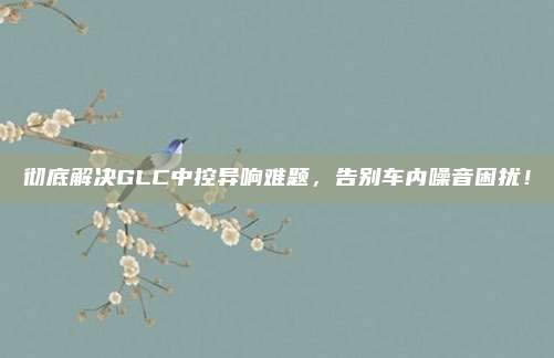 彻底解决GLC中控异响难题，告别车内噪音困扰！