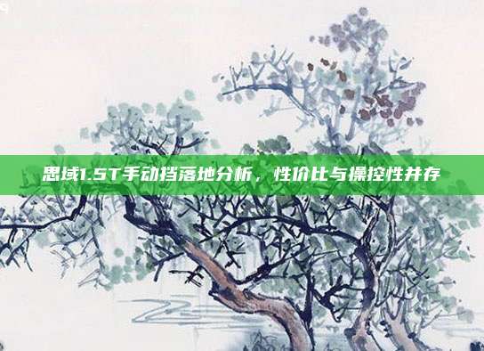 思域1.5T手动挡落地分析，性价比与操控性并存