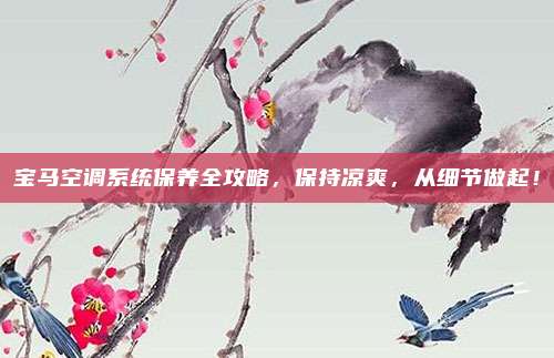 宝马空调系统保养全攻略，保持凉爽，从细节做起！