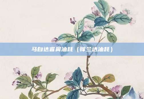 马自达睿翼油耗(锋兰达油耗)