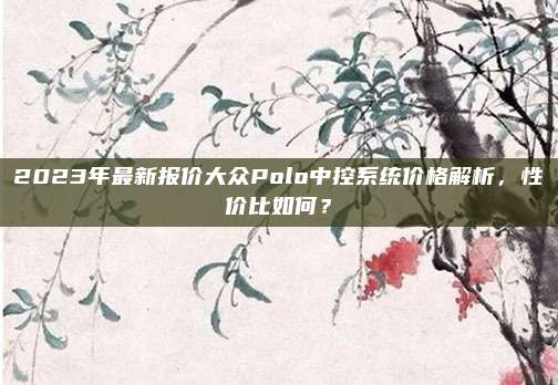 2023年最新报价大众Polo中控系统价格解析，性价比如何？