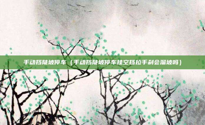 手动挡陡坡停车(手动挡陡坡停车挂空挡拉手刹会溜坡吗)