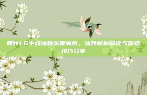 朗行1.6手动油耗深度解析，油耗数据解读与驾驶技巧分享