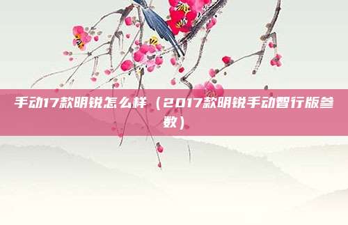 手动17款明锐怎么样(2017款明锐手动智行版参数)