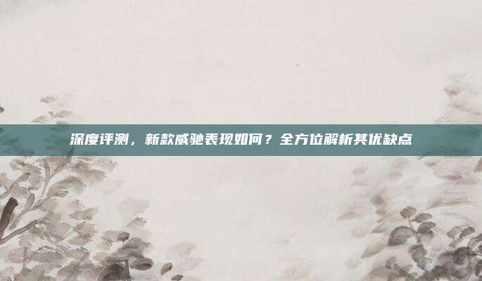 深度评测，新款威驰表现如何？全方位解析其优缺点