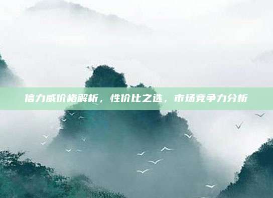 信力威价格解析，性价比之选，市场竞争力分析