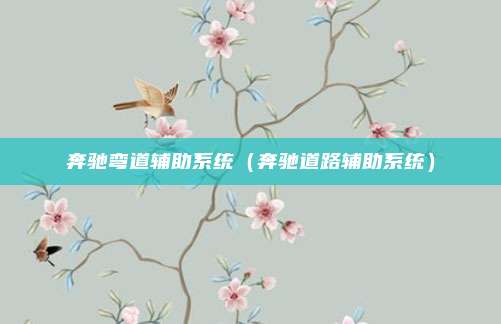 奔驰弯道辅助系统(奔驰道路辅助系统)