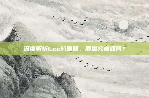 深度解析Lee减震器，质量究竟如何？