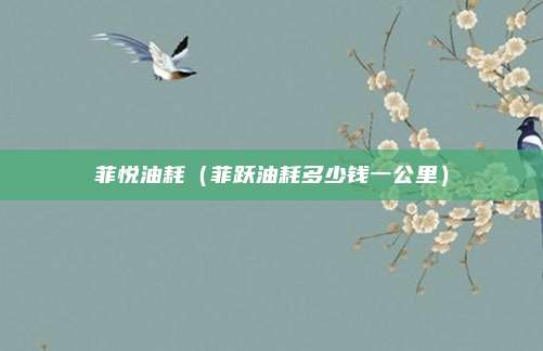 菲悦油耗（菲跃油耗多少钱一公里）