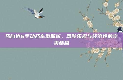 马自达6手动挡车型解析，驾驶乐趣与经济性的完美结合