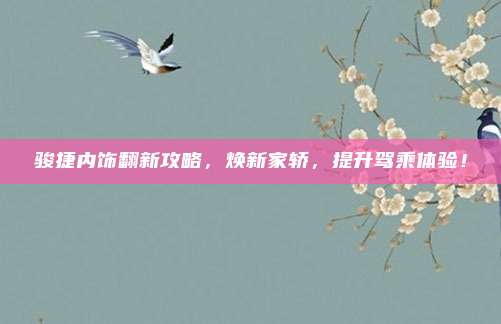 骏捷内饰翻新攻略，焕新家轿，提升驾乘体验！