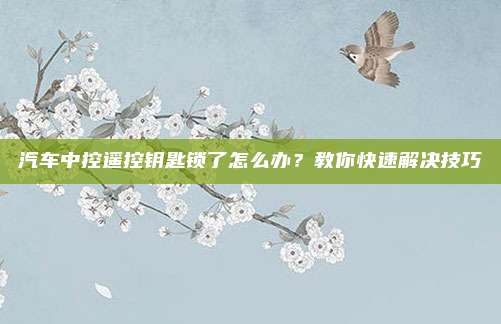 汽车中控遥控钥匙锁了怎么办？教你快速解决技巧
