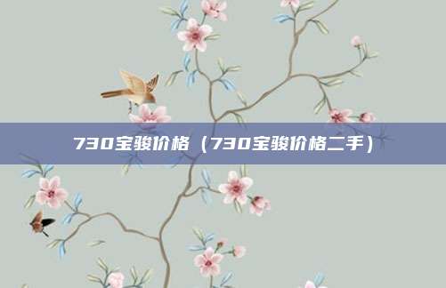 730宝骏价格（730宝骏价格二手）